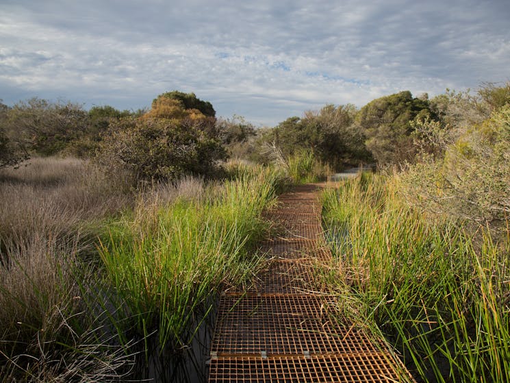 Hanging Swamp, North Head Sanctuary