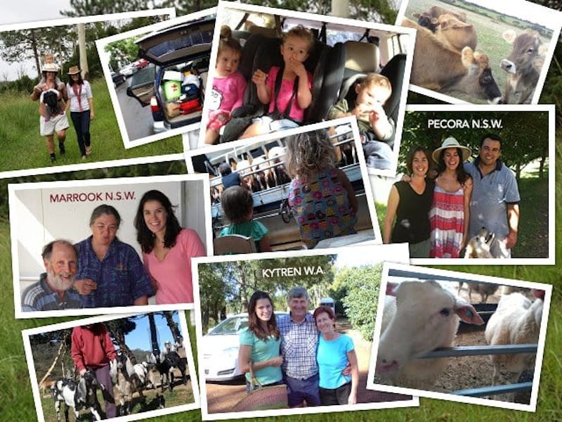 NSW Cheese Tour