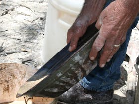 Goldfields at Ironbarks