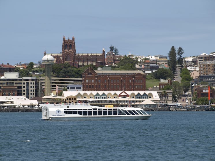 Newcastle Harbour Lunch Cruise