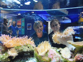 Solitary Islands Aquarium