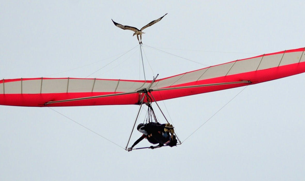 Hang Gliding