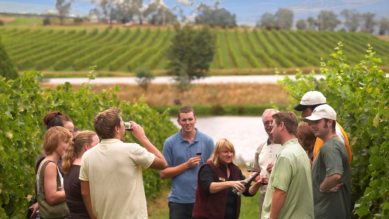 Australian Wine Tour Company