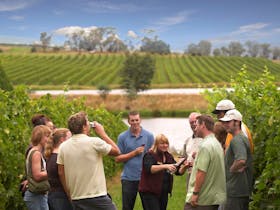 Australian Wine Tour Company