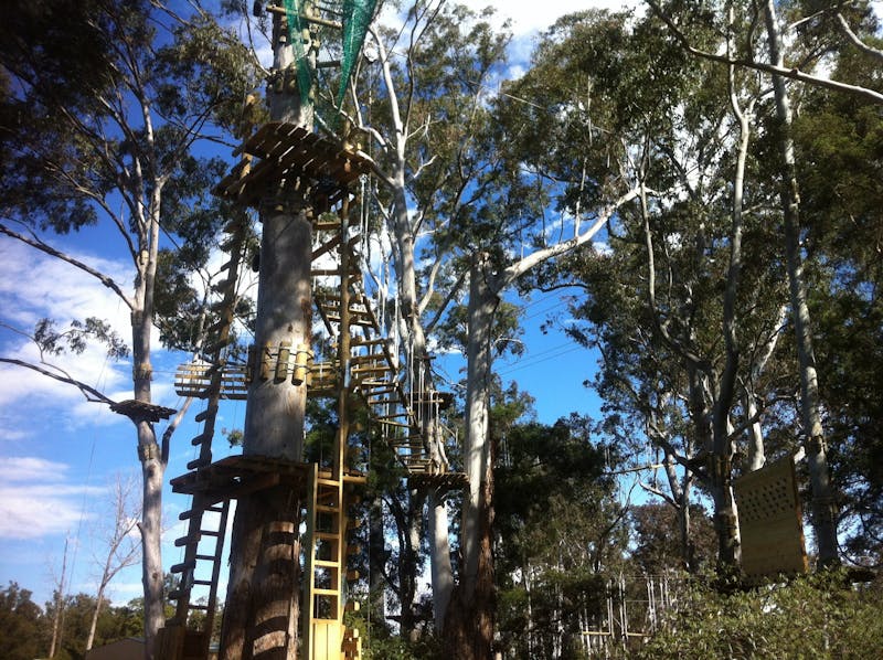 Trees Adventure Grose River Park Sydney Australia