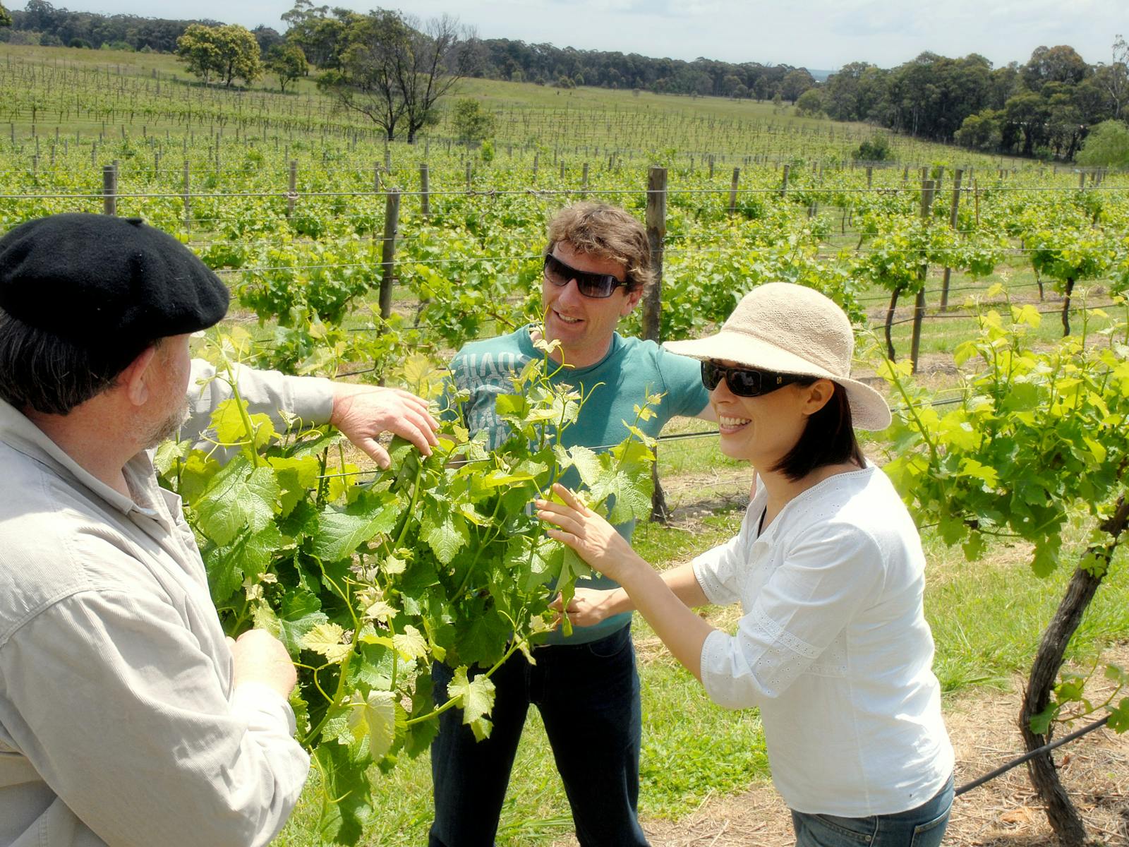Image for Southern Highlands Food and Wine Festival