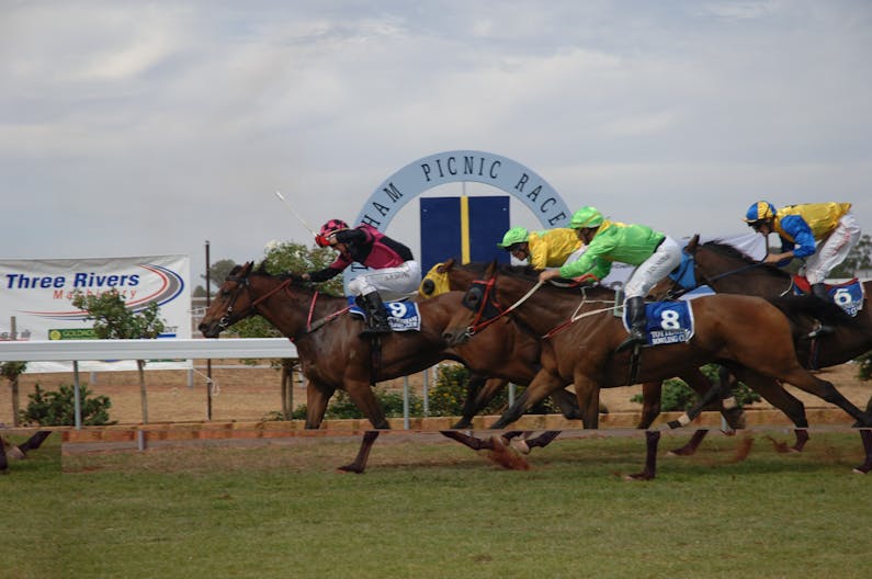 Image of the event 'Tottenham Picnic Races'