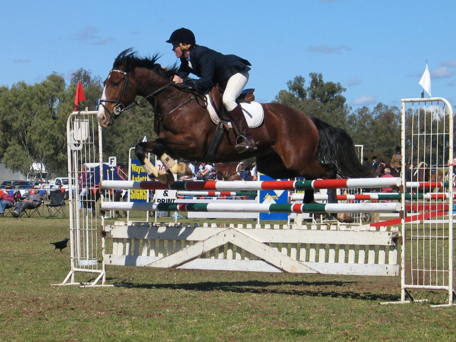 Image for Condobolin Annual Show