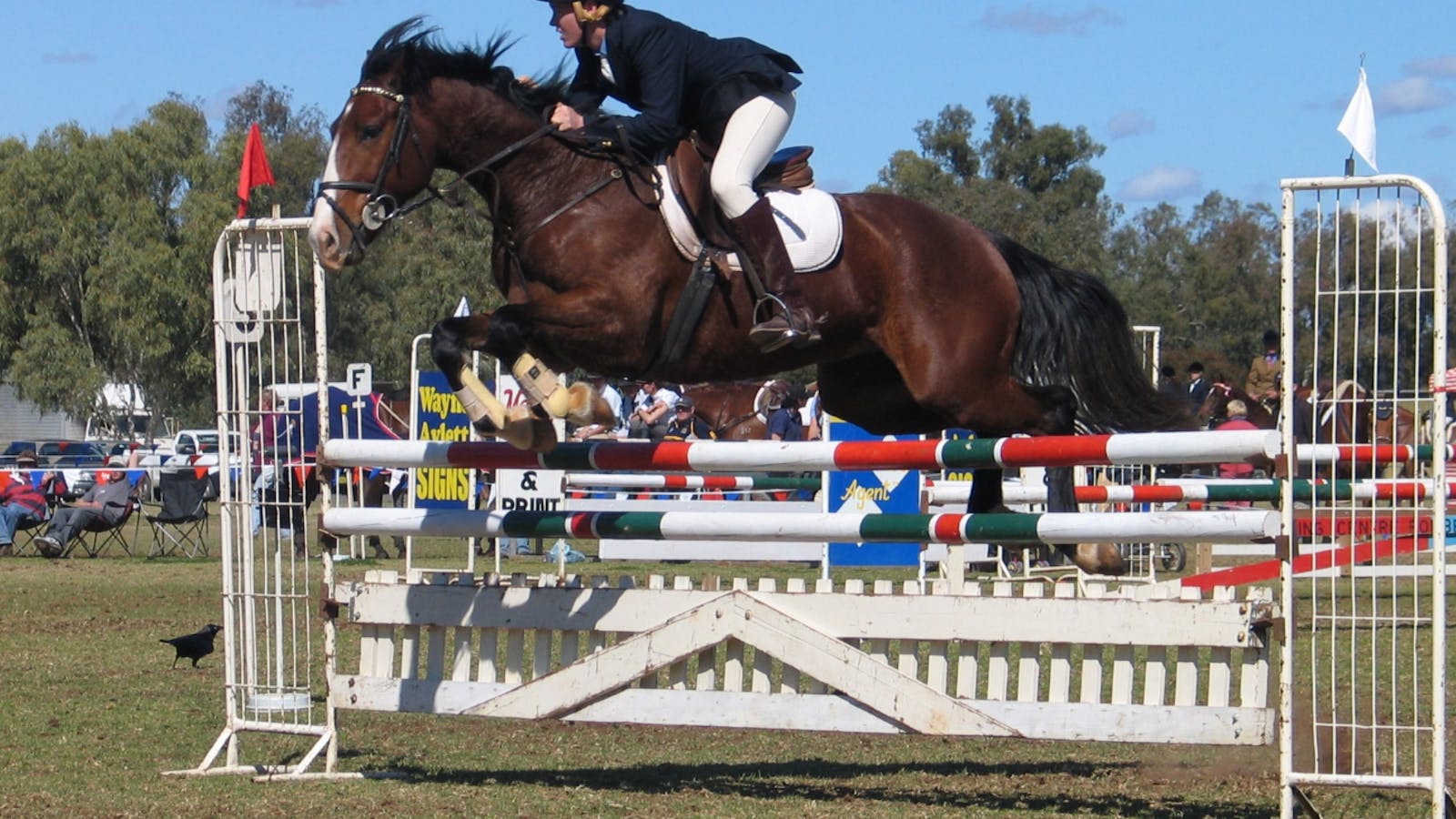 Condobolin Annual Show