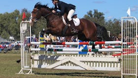 Condobolin Annual Show