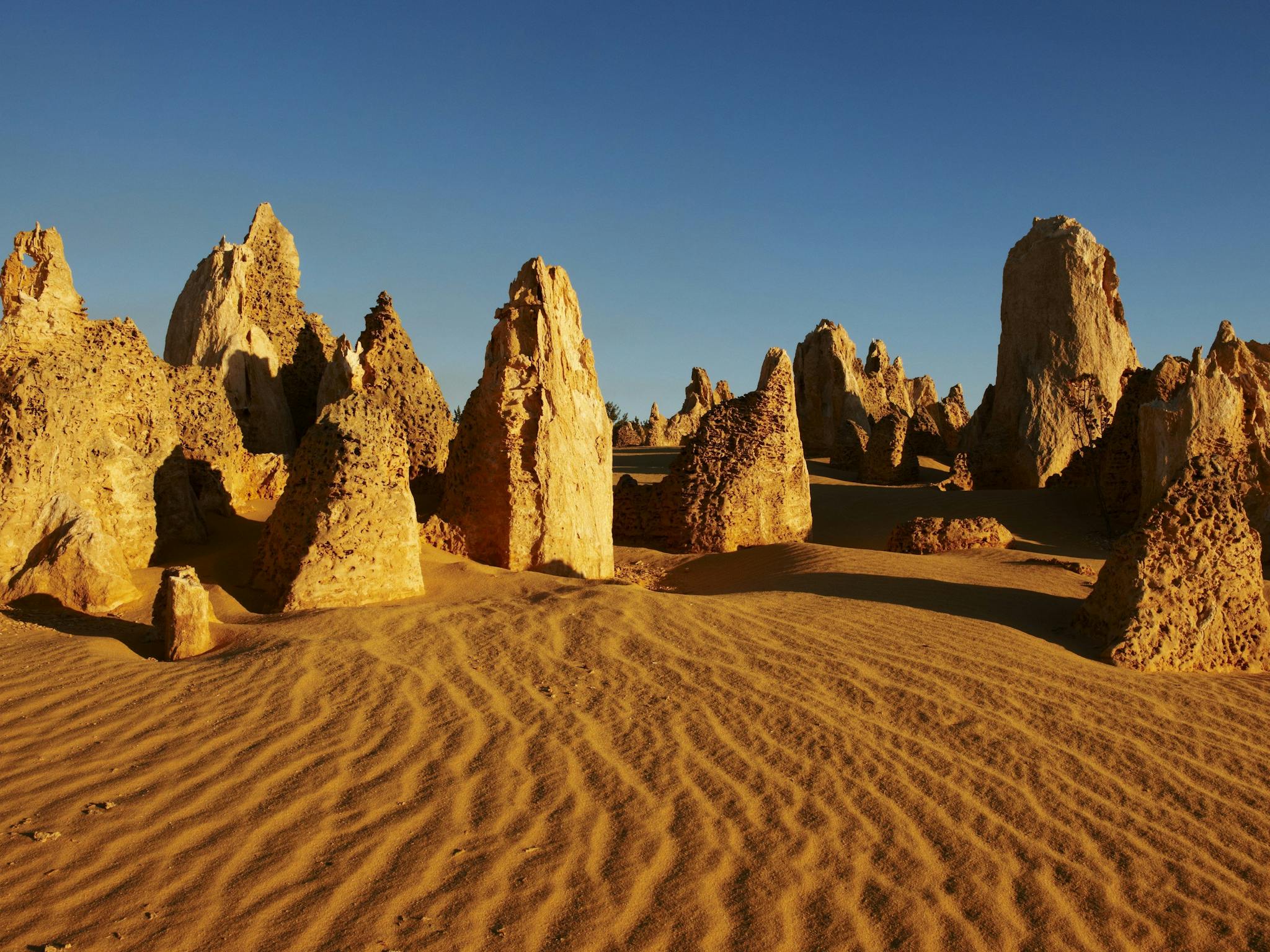 Australian Pinnacle Tours, Perth, Western Australia