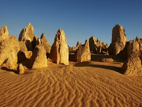 Australian Pinnacle Tours Perth