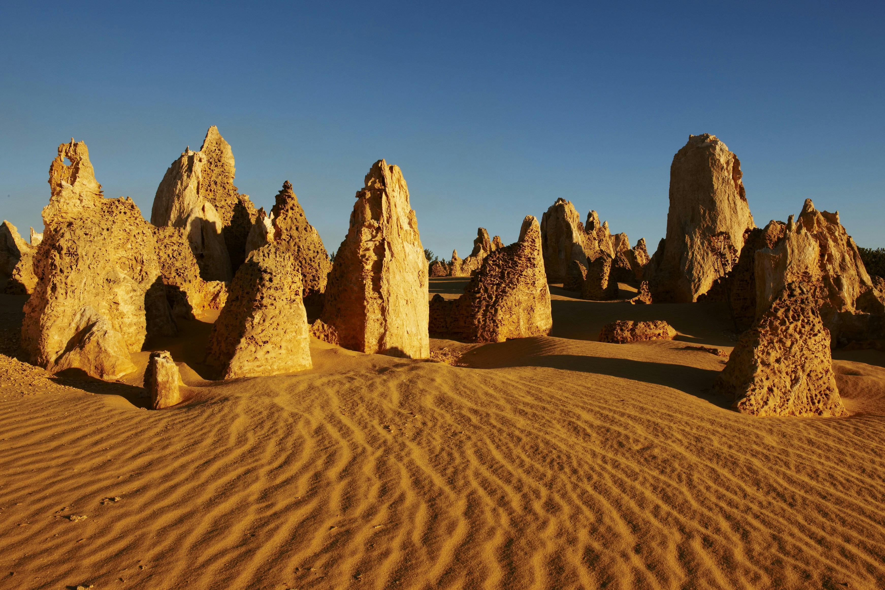 Pinnacle Desert and 4WD Adventure Day Tour