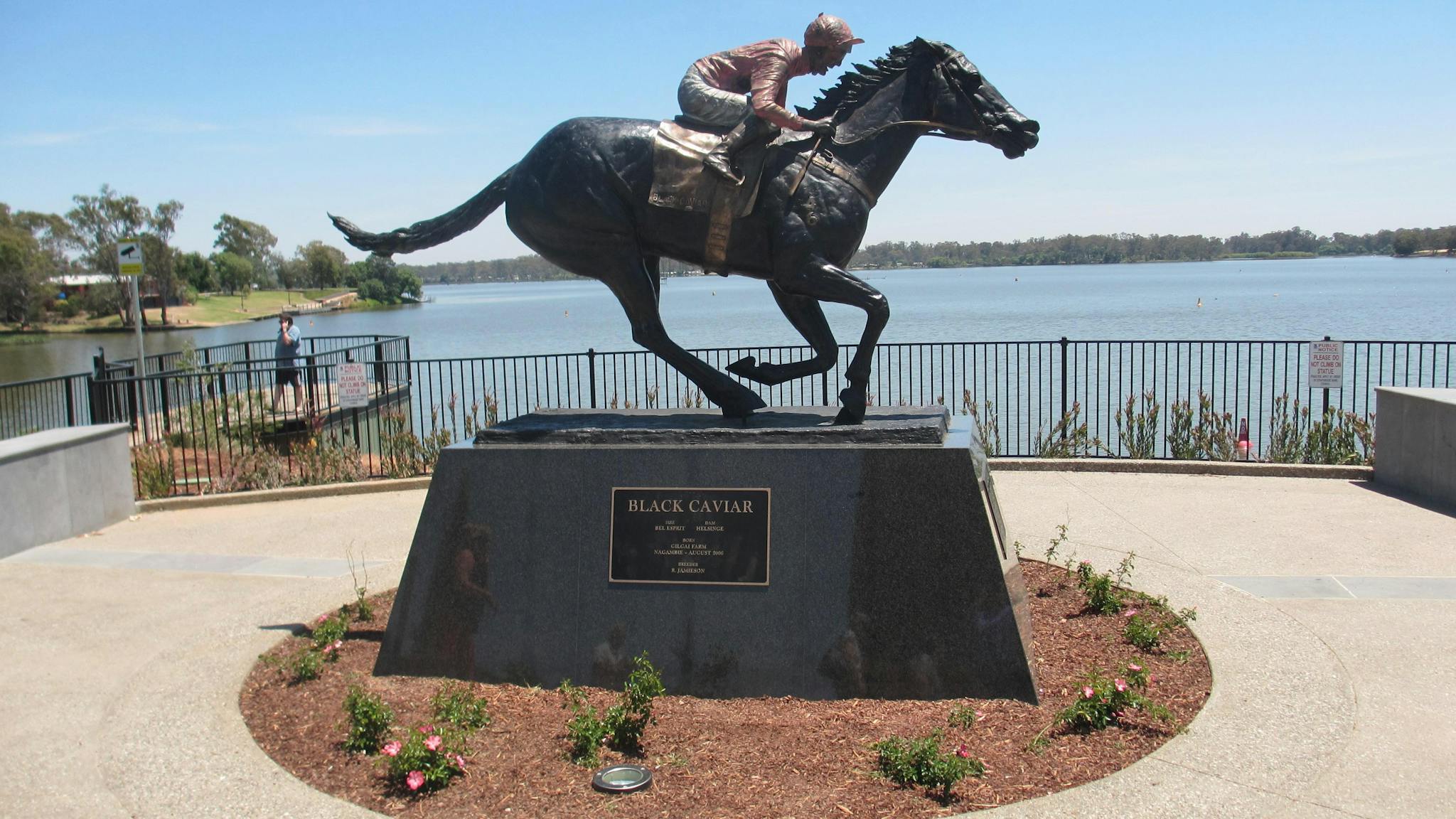 Black Caviar Statue