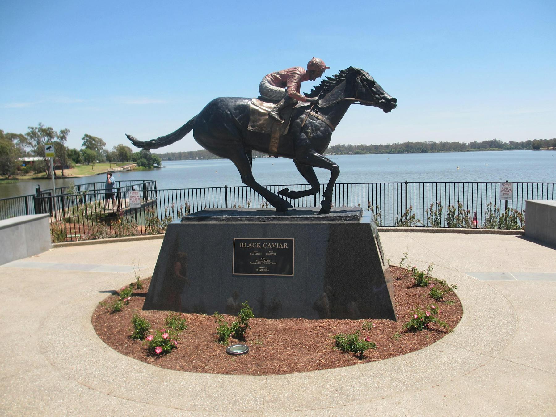 Black Caviar Statue
