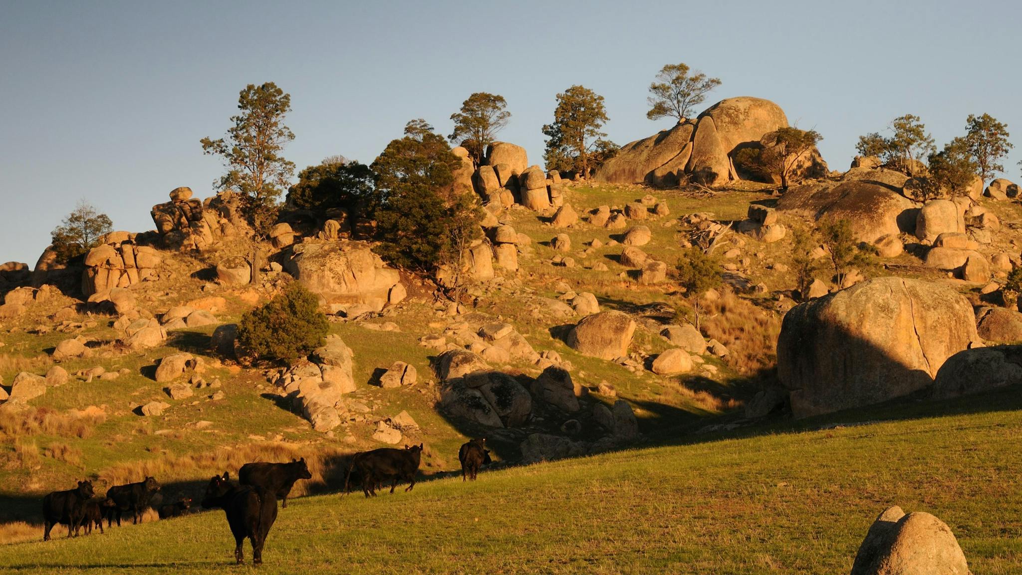 Strathbogie Ranges