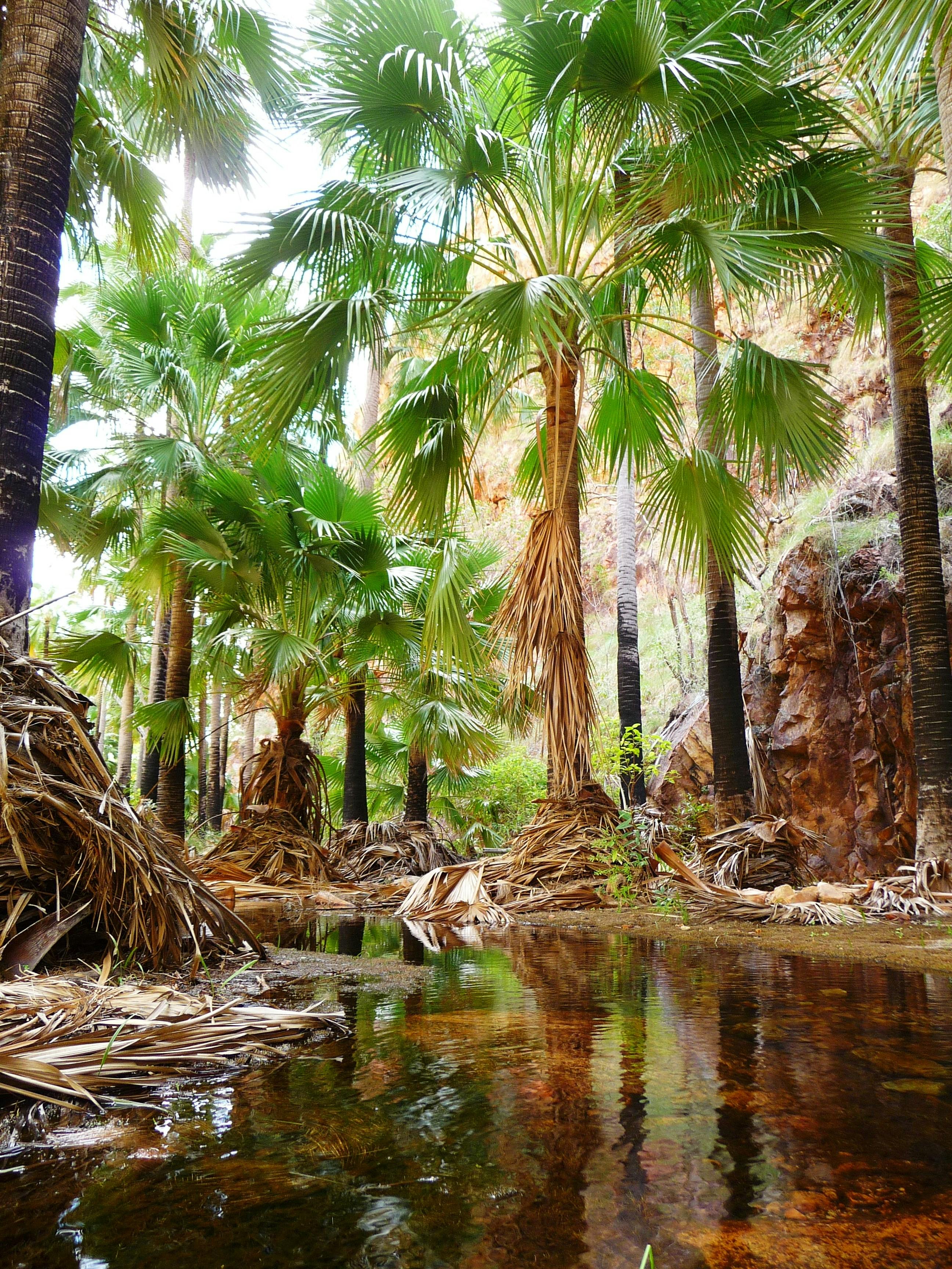 Inspiration Outdoors, Kimberley, Western Australia