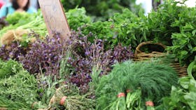 Carriageworks Farmers Market