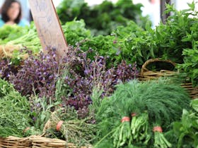 Fresh seasonal herbs and greens at Carriageworks Farmers Market