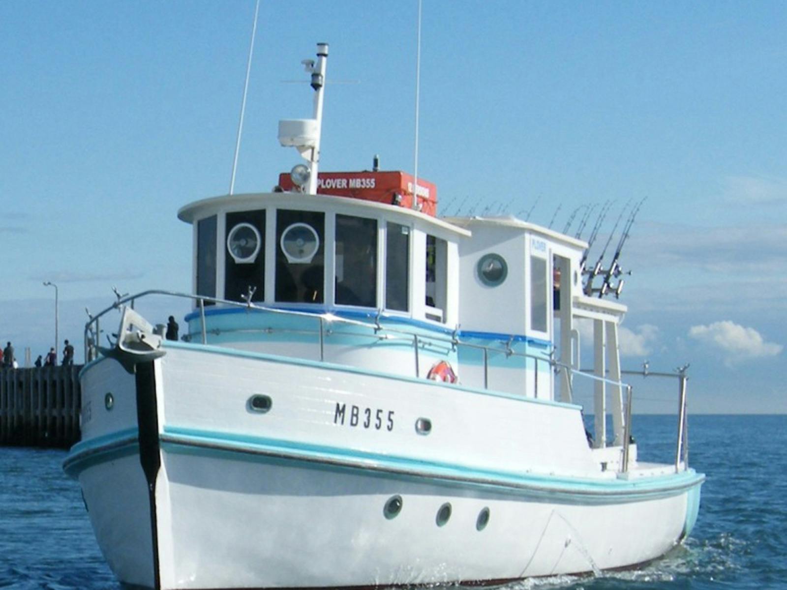 Bay Fish N Trips