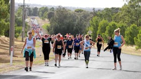 City to Lake Fun Run