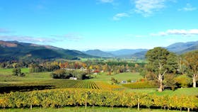 Autumn views over Ringer Reef vineyard