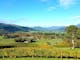 Autumn views over Ringer Reef vineyard