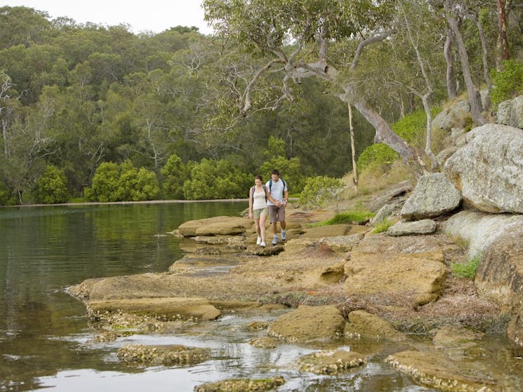 Bushwalking at Wangi