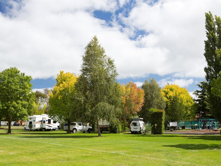 Dog Friendly Camping