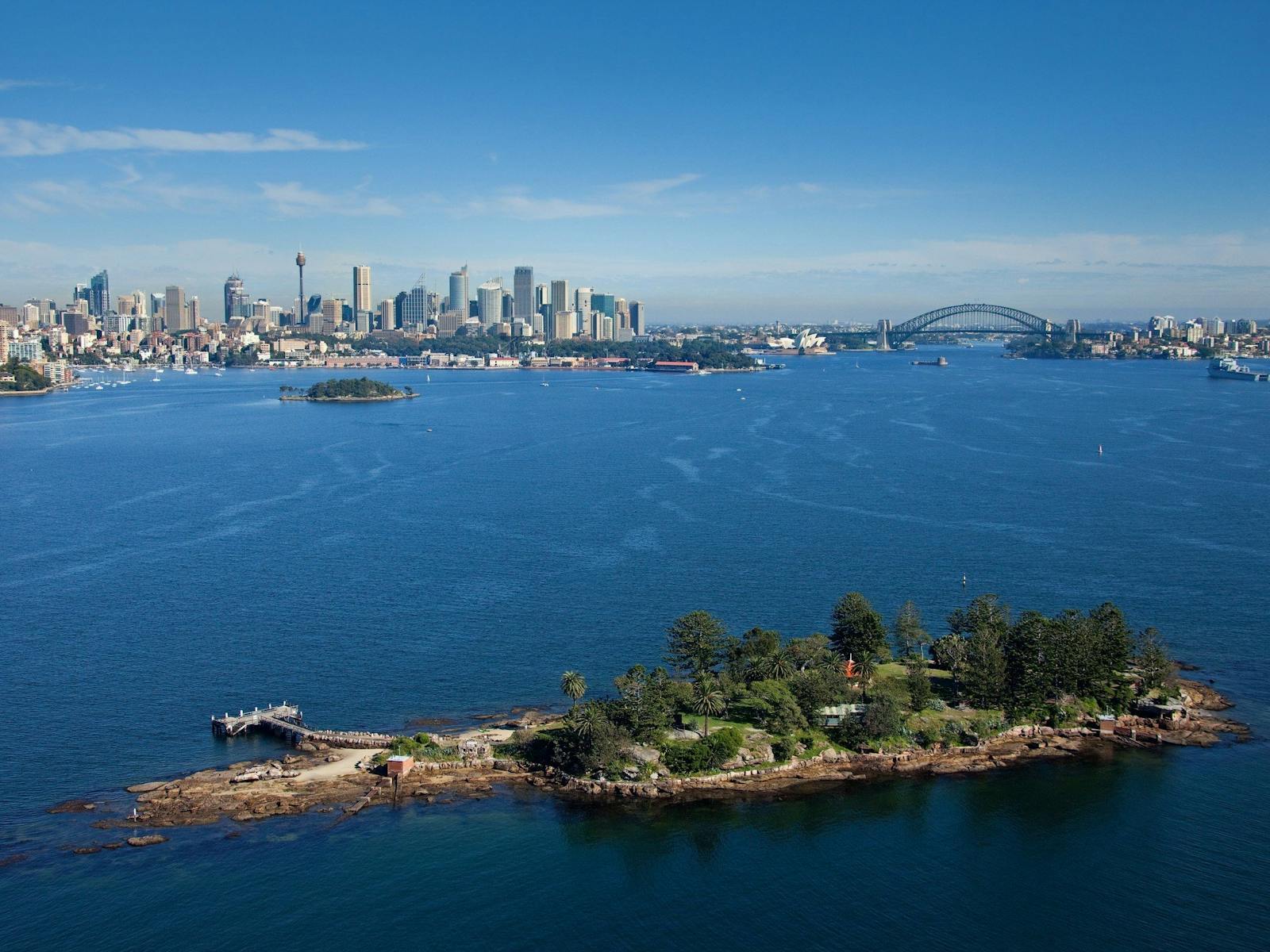 シャークアイランド