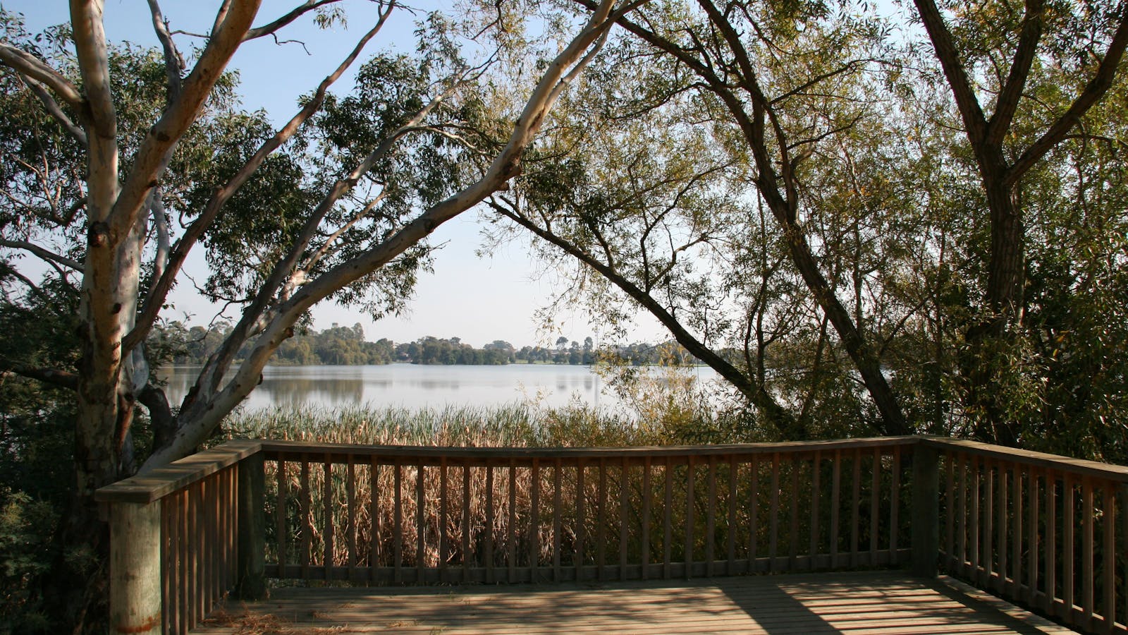 Sale Common Wetlands