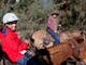 Half Day Ride