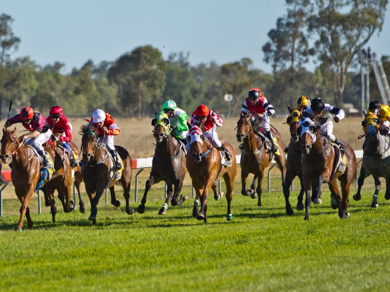 Cattlemans Cup Race Meeting | Sydney, Australia - Official ...