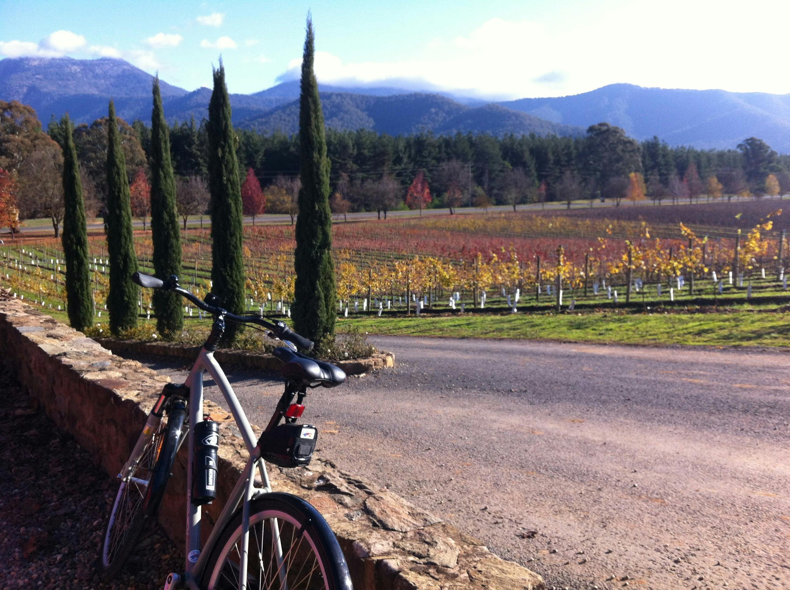 Stunning views to Mount Buffalo in North East Victoria