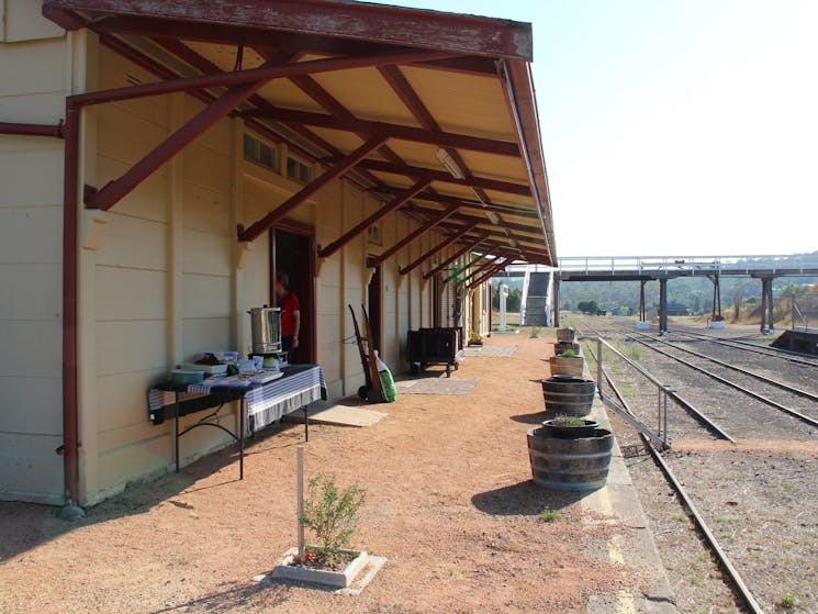 Bombala Station