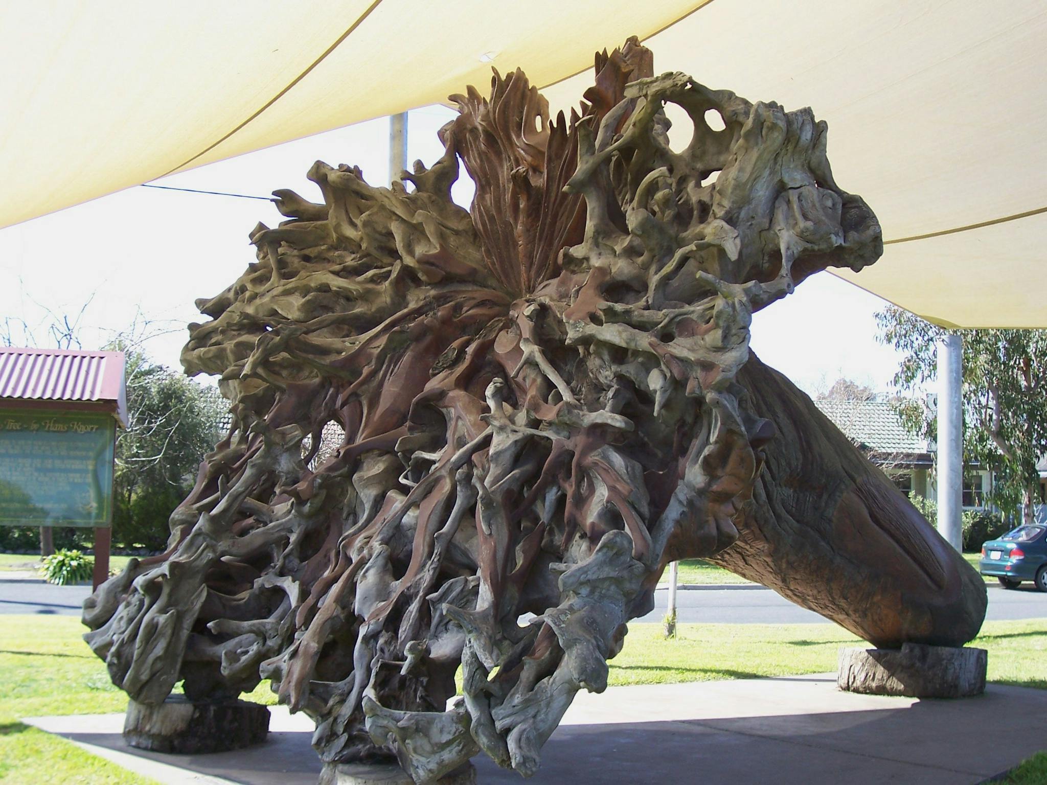 Phoenix Tree, Myrtleford