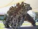 Phoenix Tree, Myrtleford