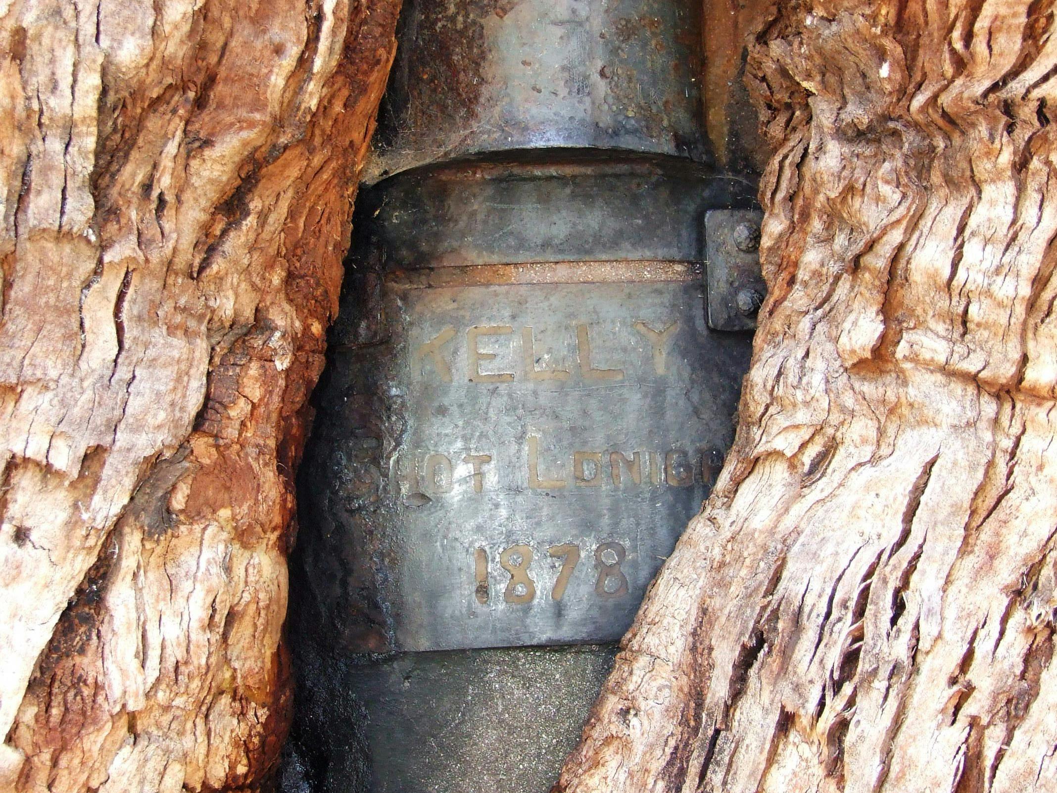 Alpine Helicopter Charter