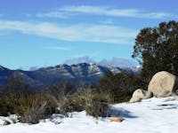 Alpine Helicopter Charter