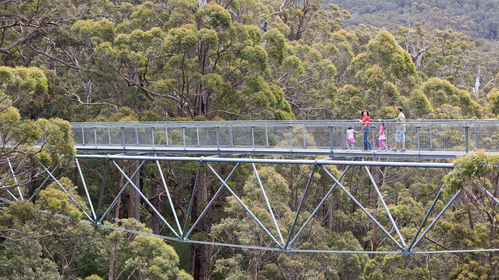 Walpole Wilderness Discovery Centre