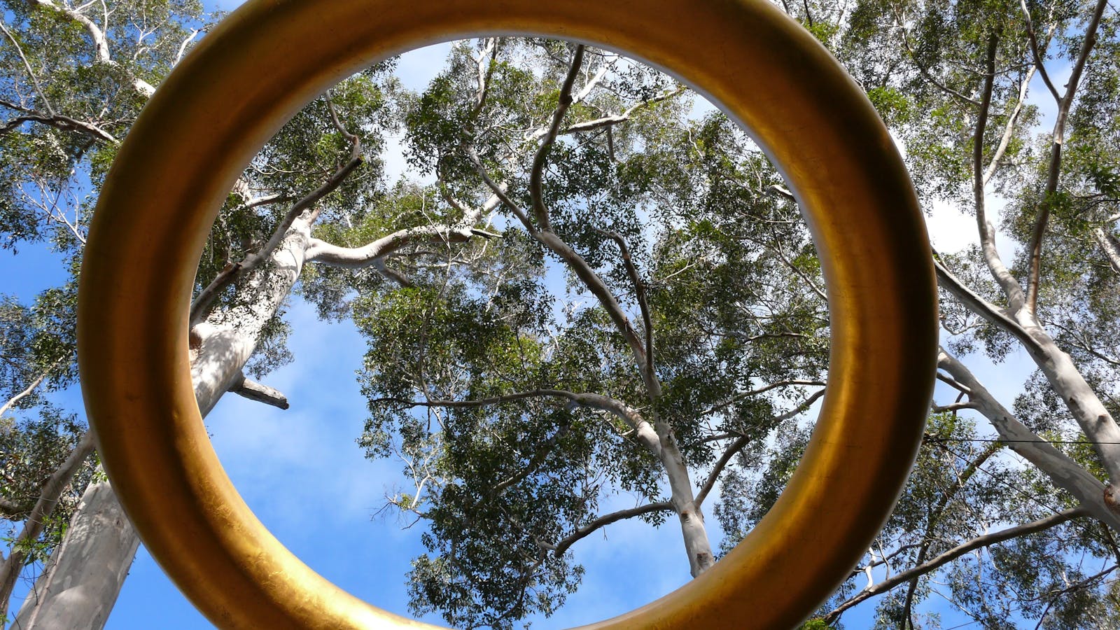 Walpole Wilderness Discovery Centre
