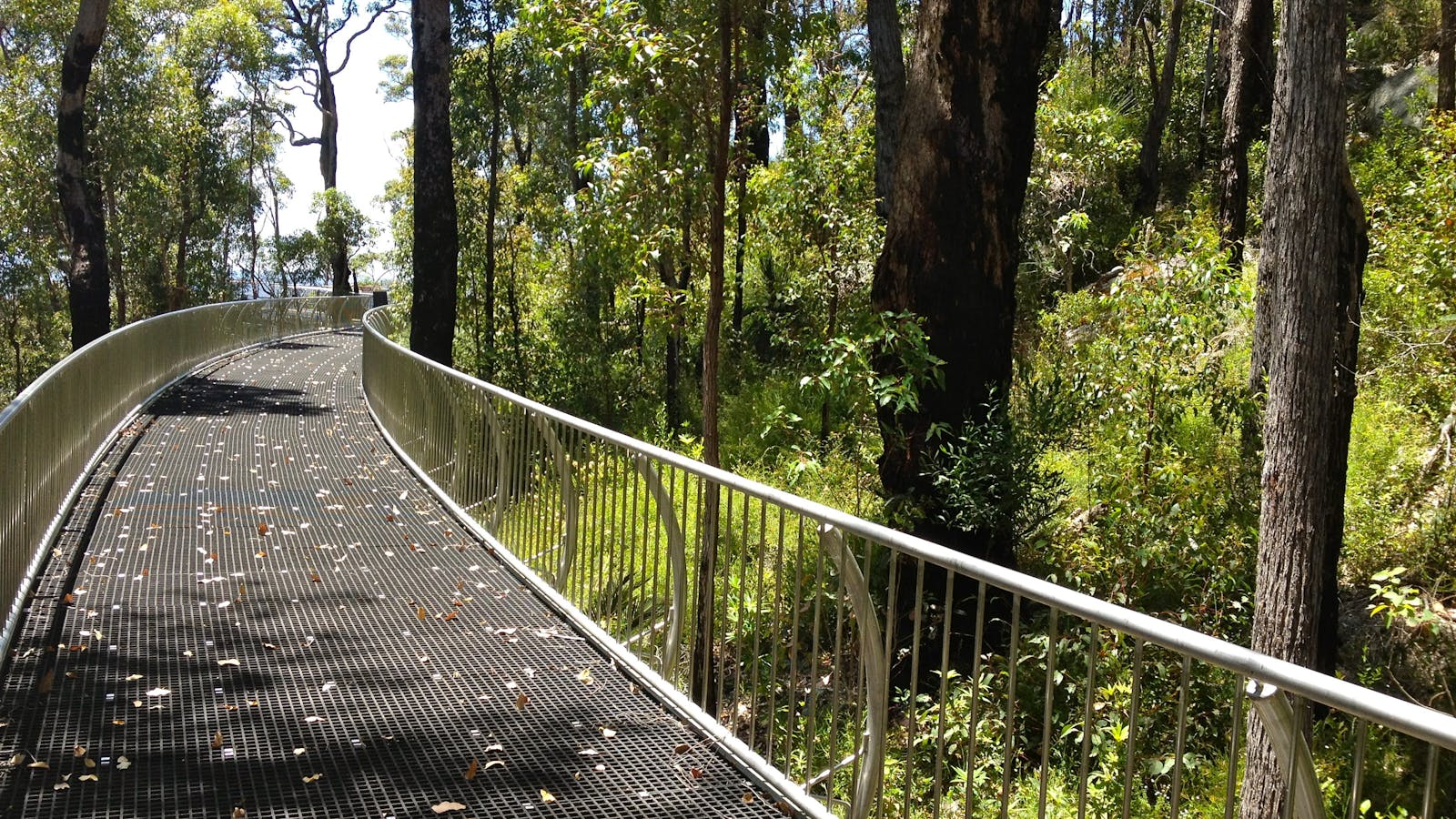 Walpole Wilderness Discovery Centre