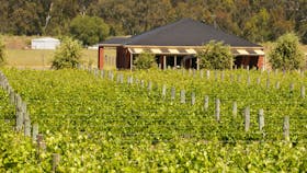 Domaine Asmara Vineyard