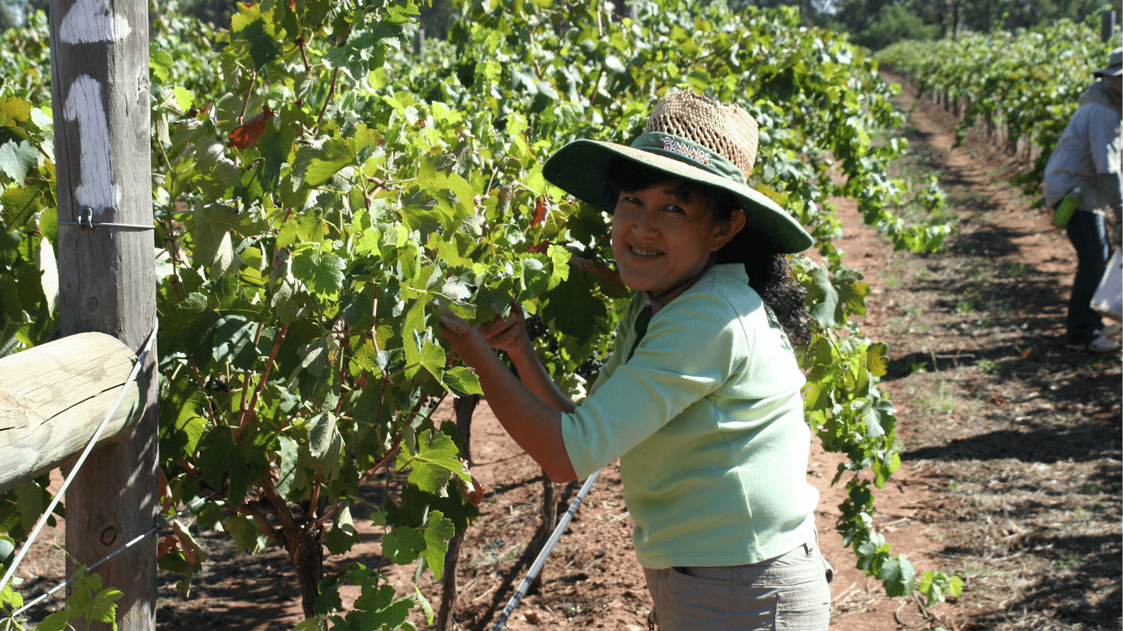Domaine Asmara
