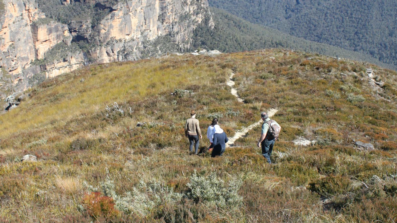 bushwalking