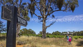 Tour de Vines