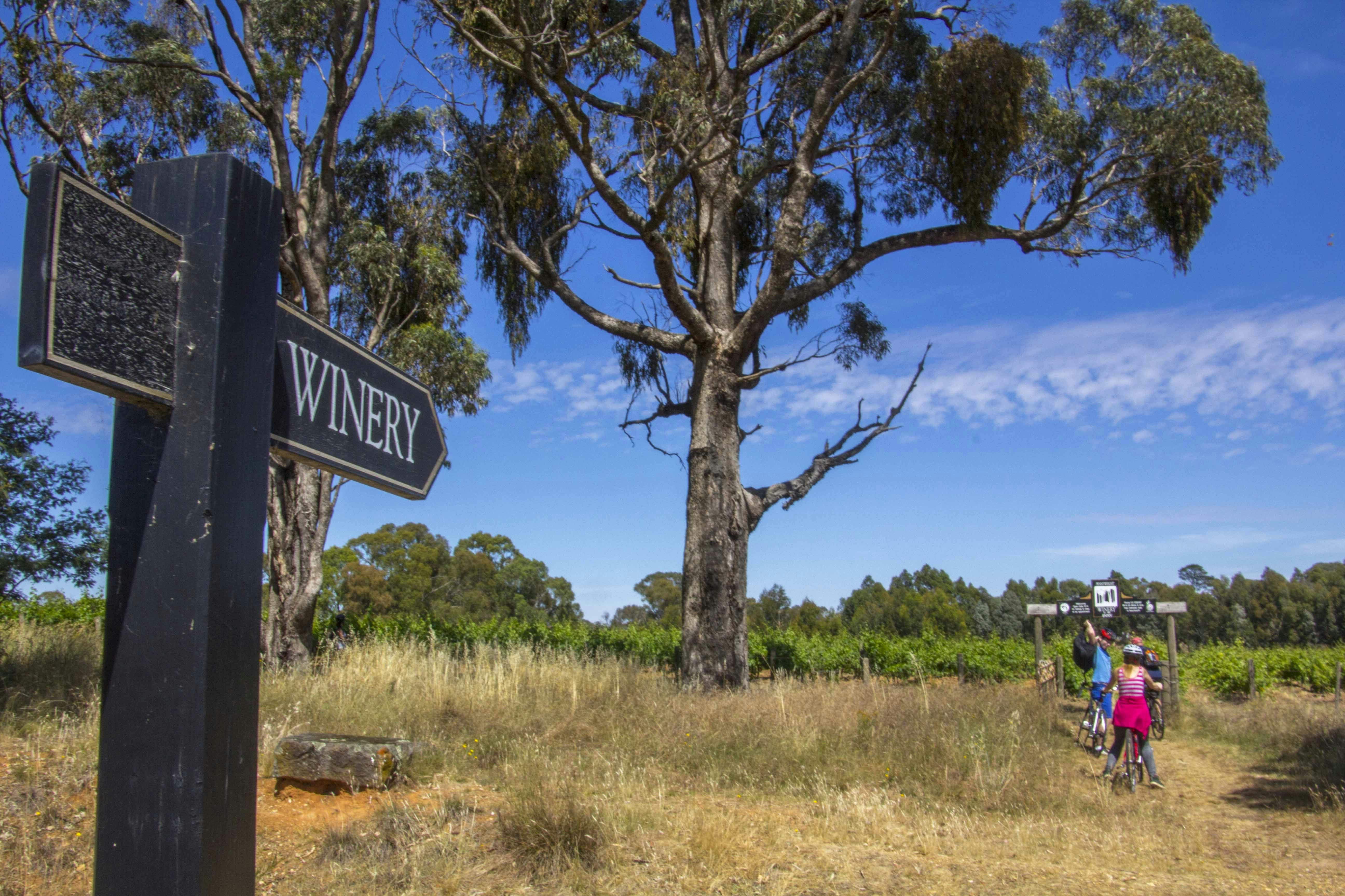 Tour de Vines Victorias High Country