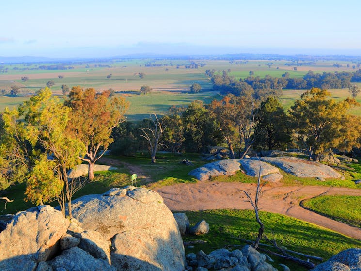 Morgans Lookout