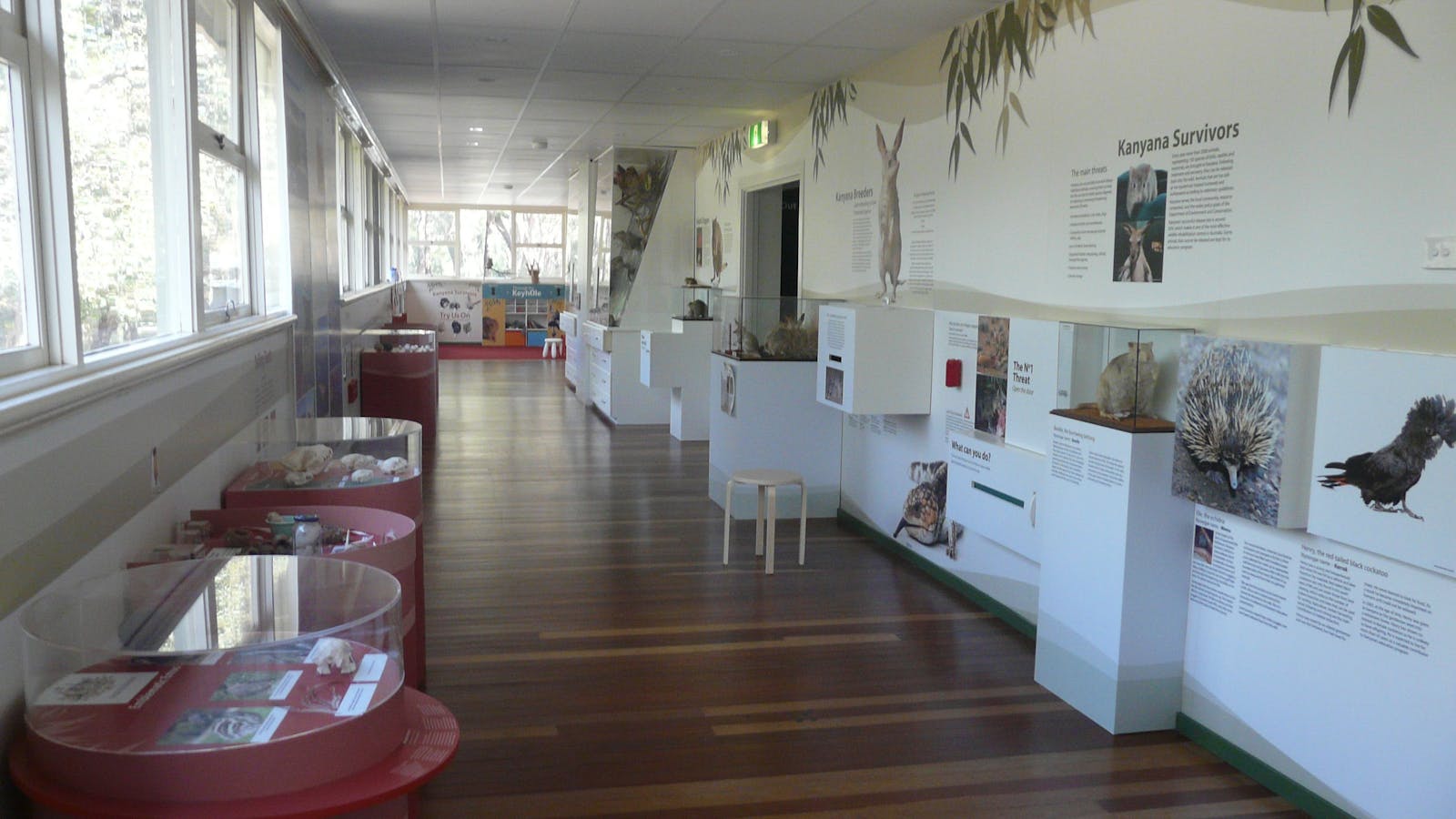 Kanyana Wildlife Rehabilitation Centre