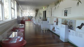 Kanyana Wildlife Rehabilitation Centre